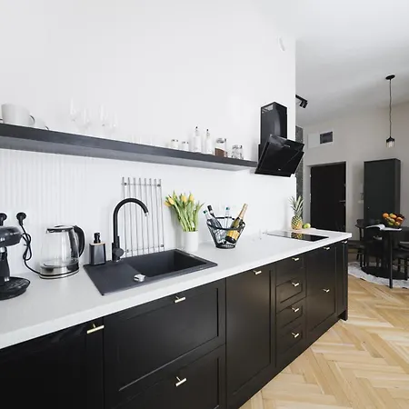 Apartman Classic Beautiful Old Town Ac Wifi Parking Krakkó